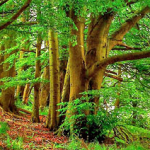e-learning from nature