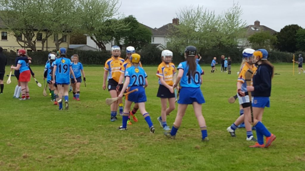 Camogie2