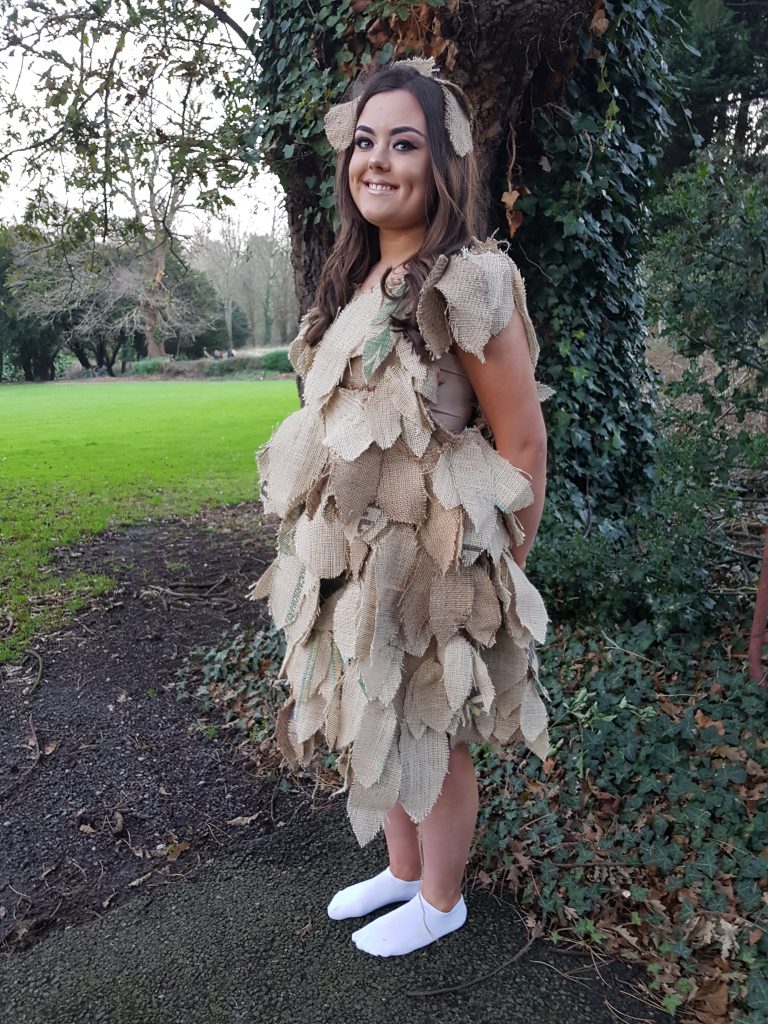 THE LEAF FAIRY